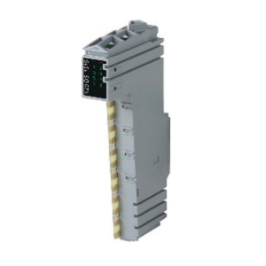 X20DS1319 B&R I-O Units